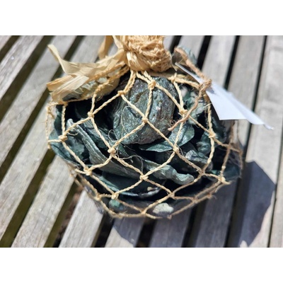Dijk Natural Collection Mušle Oyster shell temně zelená 250 g
