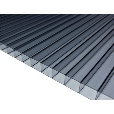 Exolon 2/10 komôrkový polykarbonát 10 mm 1UV 2100 x 3000 mm šedá 1 ks