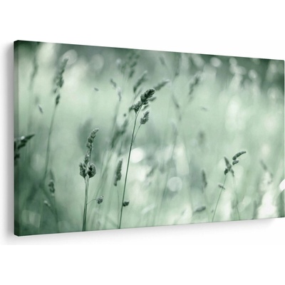 Obraz - Zelená lúka, jednodielne 150x100 cm