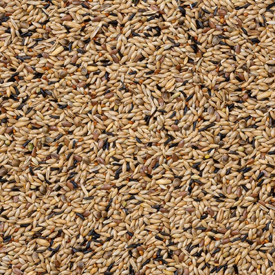Deli Nature 80 Canaries Breeding Without Rapeseed 4 kg
