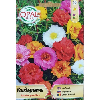 Opal Zi Калдаръмче смес