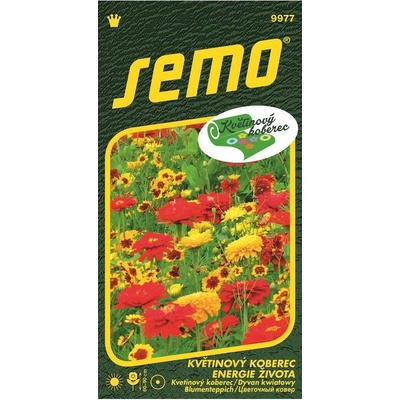 SEMO Zmes letničiek Energia života