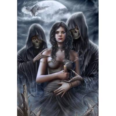 Grafika - Puzzle Ortega: Spirit of the Night - 1 000 piese