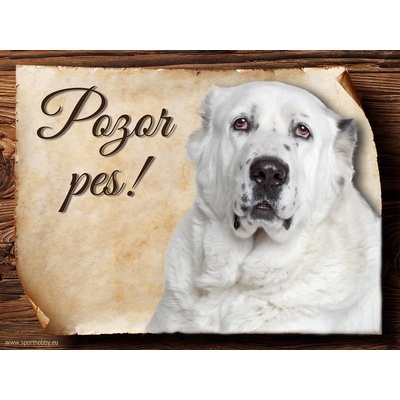 Sport hobby Cedulka Středoasijský pastevecký pes Pozor pes CP314 15 x 11 cm