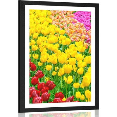 Plakát s paspartou zahrada plná tulipánů - 40x60 silver