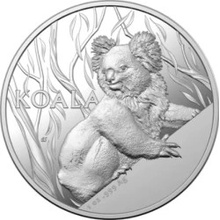 Royal Australian Mint strieborná minca Koala 2024 1 oz