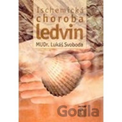 Ischemická choroba ledvin - Lukáš Svoboda