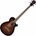 Ibanez AEGB24FE-MHS