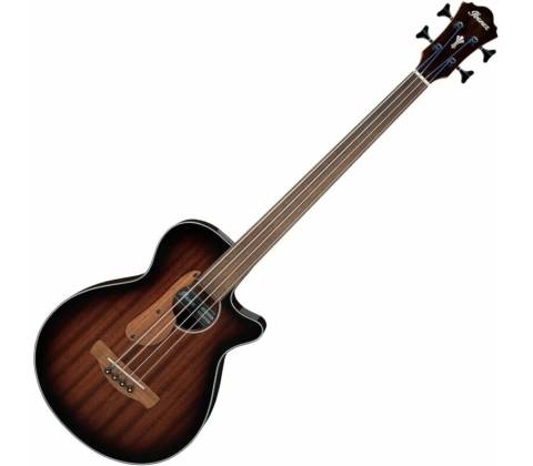 Ibanez AEGB24FE-MHS
