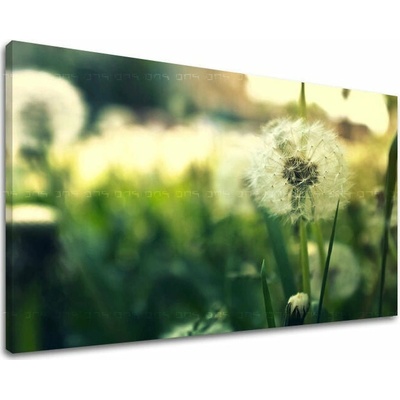 Obraz na stenu KVETY - 80x120 cm