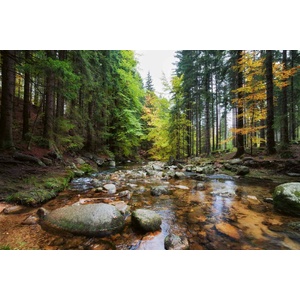 DIMEX ART Флизелинов фототапет горски поток 375 x 250 см