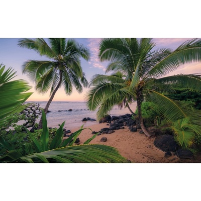 Komar Vliesová fototapeta Hawaiian Dreams 450 x 280 cm