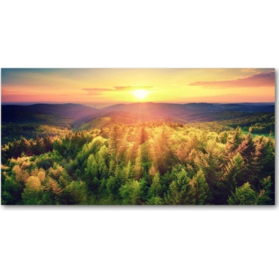 Fotoobraz na skle Les západ slnka 100x50 cm