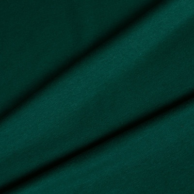 Takoy Teplákovina alpen fleece / warmkeeper zelená