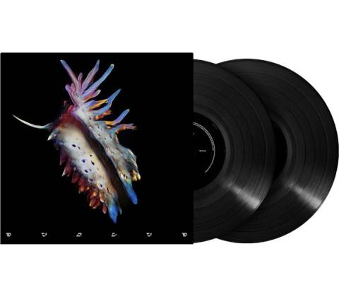 Sub Focus - Evolve LP