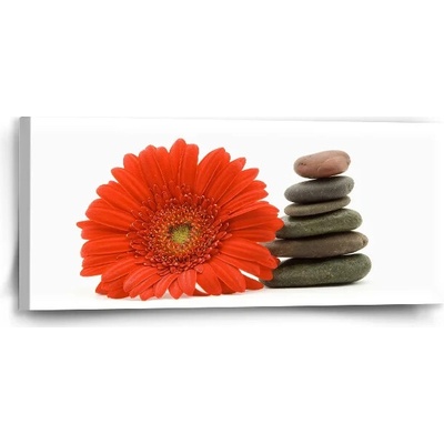 Sablio Obraz Gerbera s kameňmi - 110x50 cm