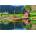 Educa - Puzzle Viking ship - 1 500 piese
