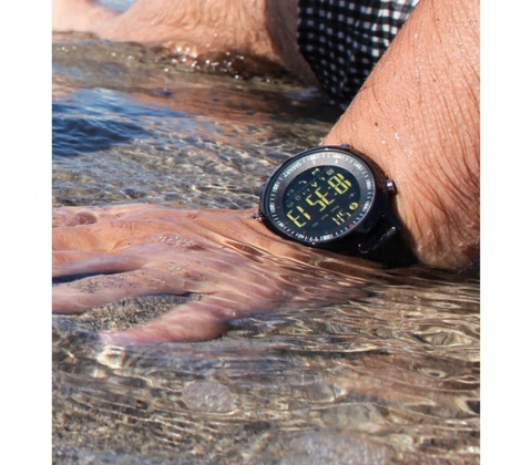 Sponge SURFWATCH