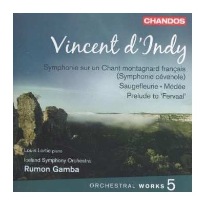 Vincent d'Indy - Orchesterwerke Vol.5 CD