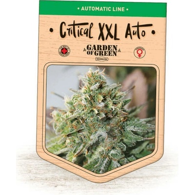 Garden Of Green Seedbank Critical XXL AUTO semena neobsahují THC 3 ks