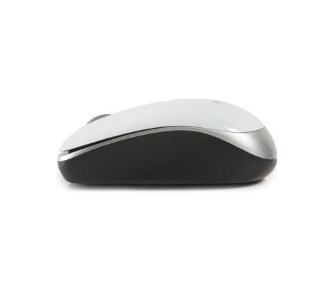 NGS WHITESPICEMOUSE