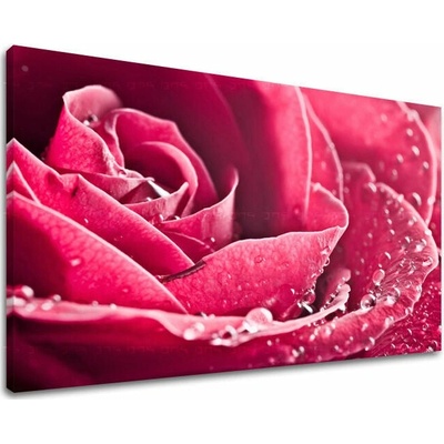 Obraz na stenu KVETY - 20x30 cm