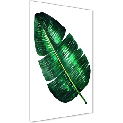 Vertikálny foto obraz sklenený List banánovníka 50x100 cm