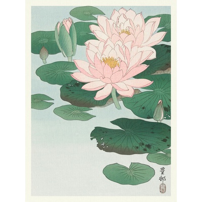 Plagát, Obraz - Water Lily, Ohara Koson, 30 × 40 cm