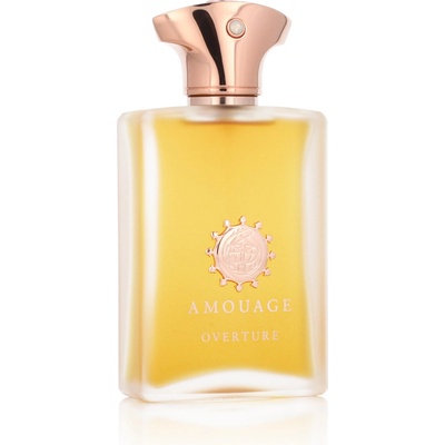 Amouage Overture parfumovaná voda pánska 100 ml