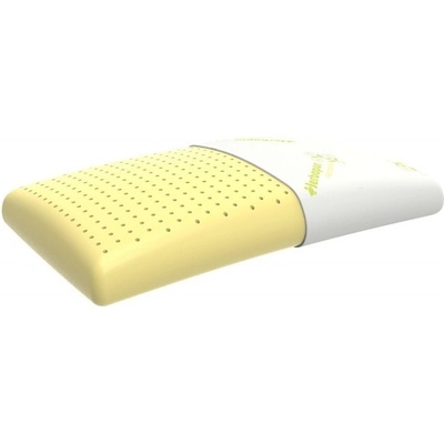 MPO polštář Herbapur H Regenax 60x40x13