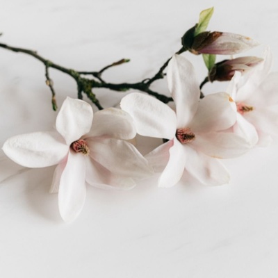 Aroma Natural Magnolia sprchový krém 400 ml