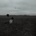 The Search - NF CD