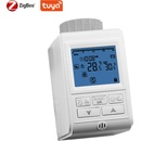 ZigBee Tuya
