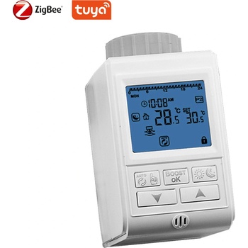 ZigBee Tuya