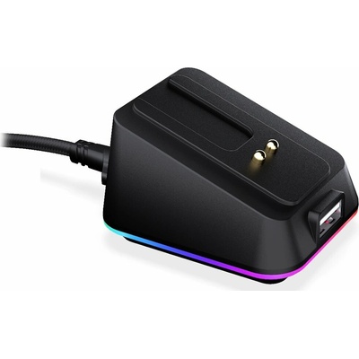 Endorfy Dokovací stanice pro Endorfy LIV Wireless a LIV Plus Wireless, USB-C, USB, RGB, černá EY0F001