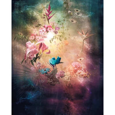Komar Vliesová fototapeta Enlightenment rozměry 200 x 250 cm