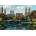 Ravensburger - Puzzle NY Central Park, Bow Bridge - 1 000 piese
