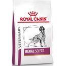 Royal Canin VHN Dog RENAL SELECT 10 kg