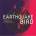 Atticus Ross - Earthquake Bird (LP) (5051083150163)