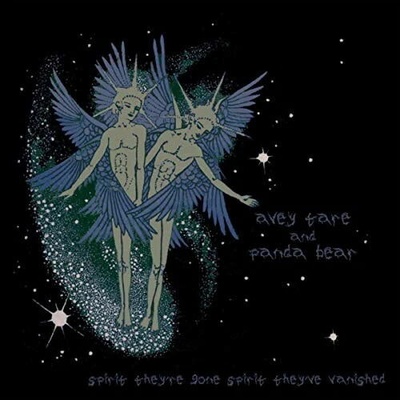 ANIMAL COLLECTIVE - SPIRIT THEY\'RE GONE, SPIRIT THEY\'VE VANISHED CD