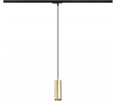 RENDL R13981