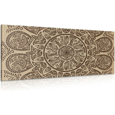 Obraz Mandala s abstraktním přírodním vzorem - 100x50