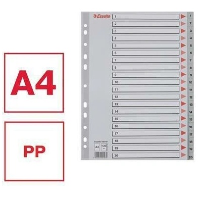 Registry, šedá, A4, plast, 1-20, ESSELTE