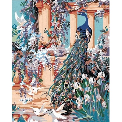 zuty malování podle čísel Páv v rozkvetlé zahradě 80 x 100 cm vypnuté plátno na rám
