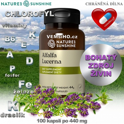 Nature's Sunshine USA AlfAlfa Tolice Vojtěška 100 kapslí po 440 mg