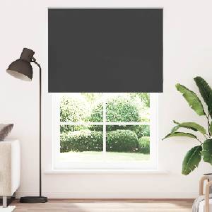 vidaXL Ролетна щора Blackout черна 160x230см ширина на тъканта 156, 6см (4010958)