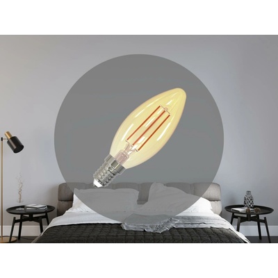 NEDES LED Stmievateľná žiarovka FILAMENT VINTAGE C35 E14/6W/230V 2000K ND4069