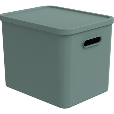 Rotho Úložný box, rovný s víkom, 27 l matná zelená Albu light 37 x 29 x 30 cm