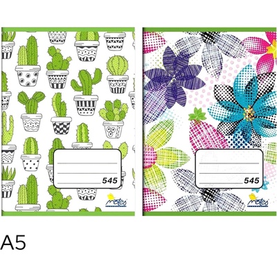 NOTES Bohemia Sešit 545