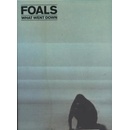 FOALS: WHAT WENT DOWN LP